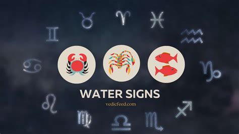 water signs compatibility